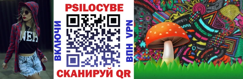 Псилоцибиновые грибы Psilocybe  Гороховец 